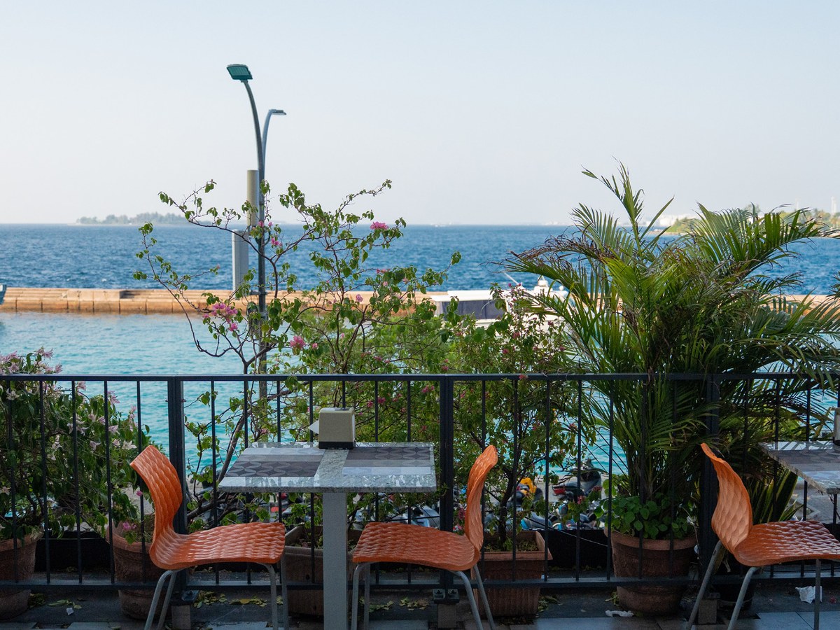 City Garden restaurant food service